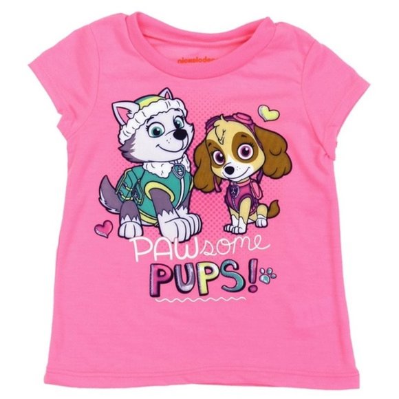 Paw Patrol Toddler Girls Pink Tee Shirt Nickelodeon Size 2T Skye Everest - Picture 1 of 1